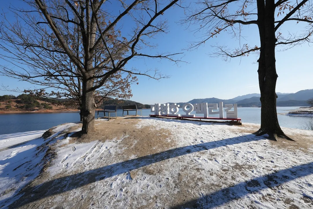 카탈로그 디자인이 영업 성과를 바꾸는 이유와 제작 팁