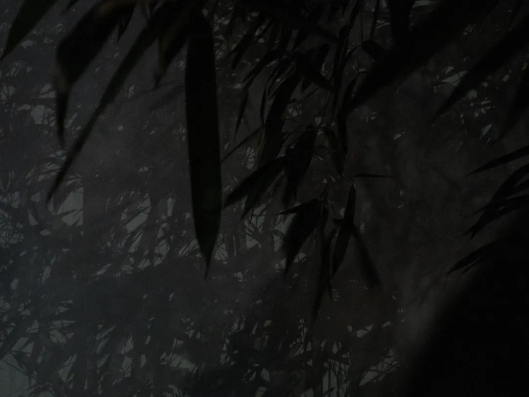 브랜드 캐릭터 제작의 모든 것: 기획부터 활용까지