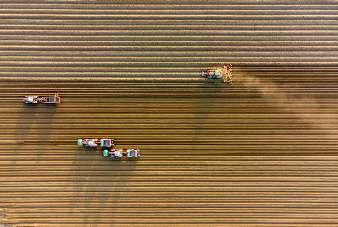 반응형 웹사이트가 필수인 이유와 제작 핵심 포인트