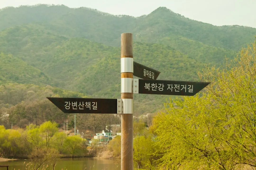 상세페이지 전환율을 높이는 카피라이팅과 이미지 배치법
